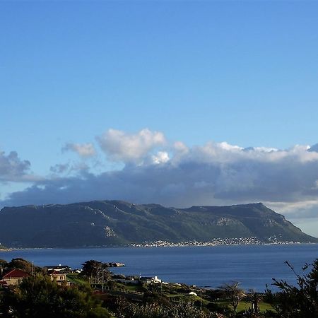 Restio Garden Studio Simon's Town Ngoại thất bức ảnh
