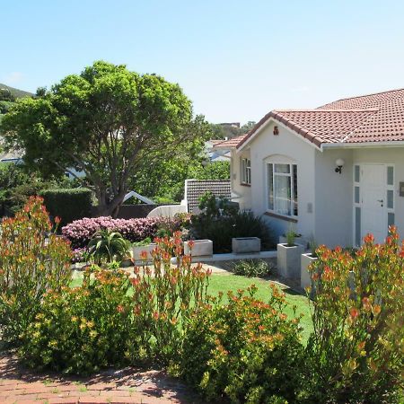 Restio Garden Studio Simon's Town Ngoại thất bức ảnh