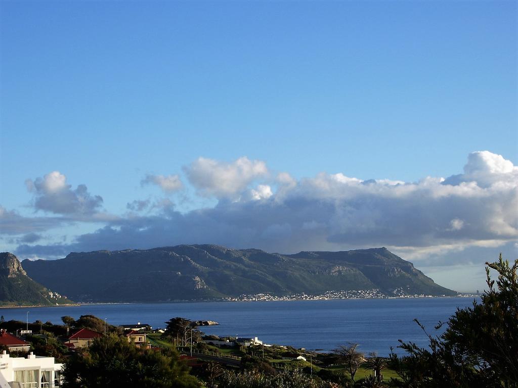 Restio Garden Studio Simon's Town Ngoại thất bức ảnh