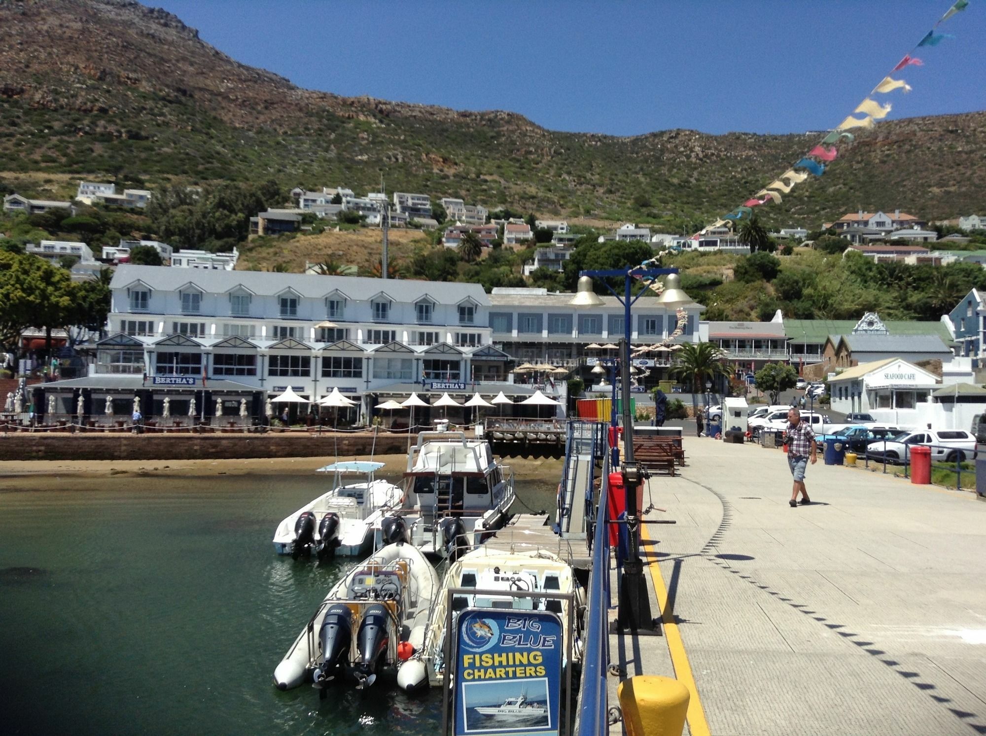 Restio Garden Studio Simon's Town Ngoại thất bức ảnh