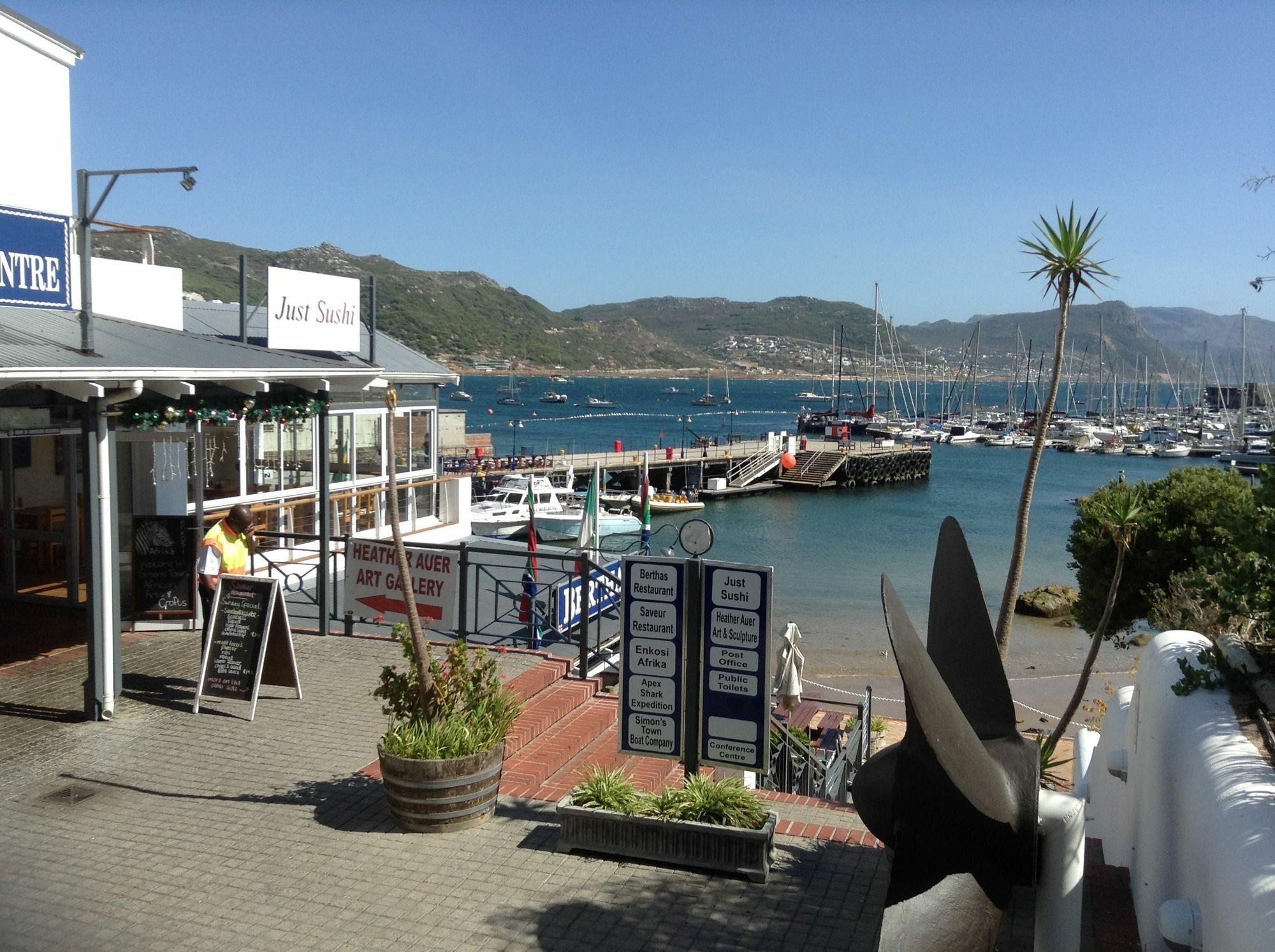 Restio Garden Studio Simon's Town Ngoại thất bức ảnh